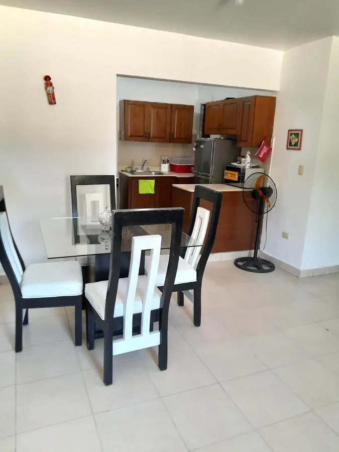 Comodo Apartamento En El Centro De La Ciudad Santiago De Los Caballeros